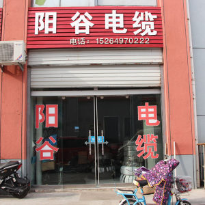阳谷线缆