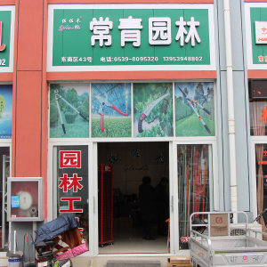 常青园林
